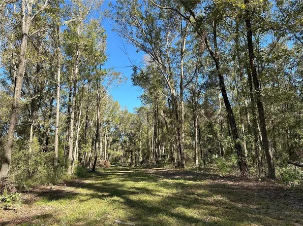 55AC W Highway 318, Reddick, FL 32686