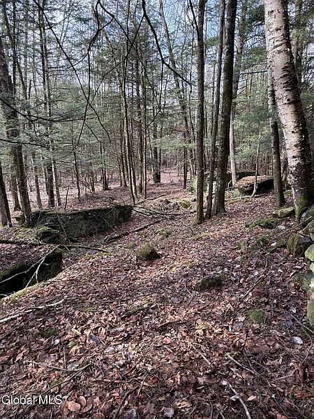 2nd image of 0 Becker Road