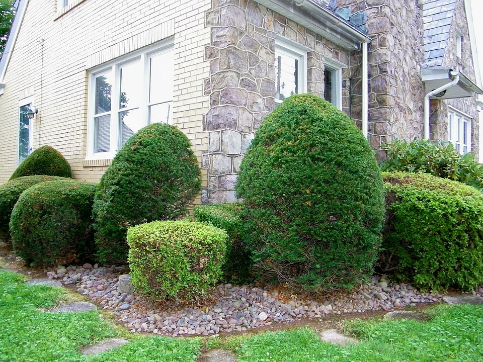 Manicured landscaping