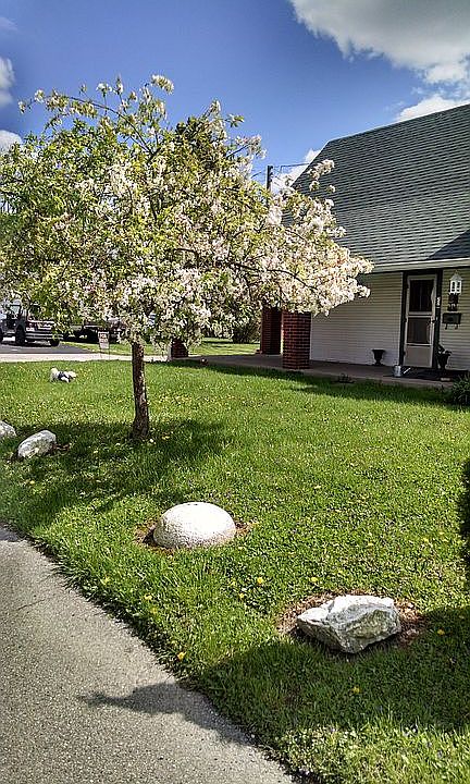 Corner Lot. Low taxes