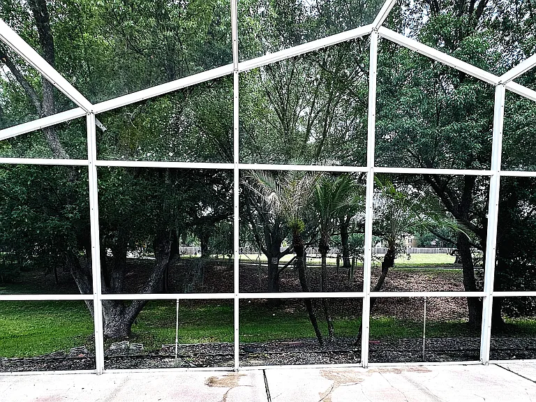 backyard view