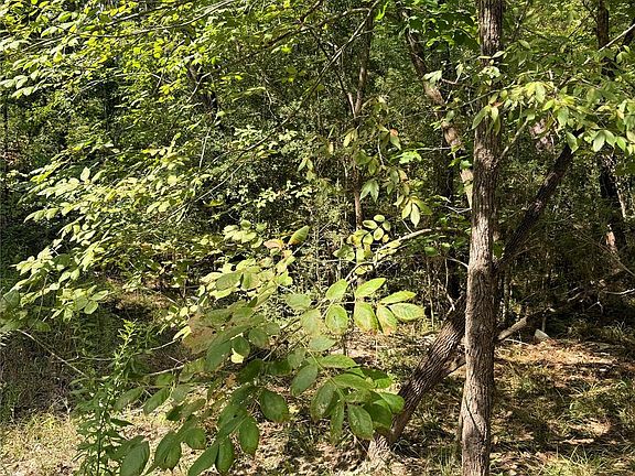 4th image of Honeysuckle Lot 1