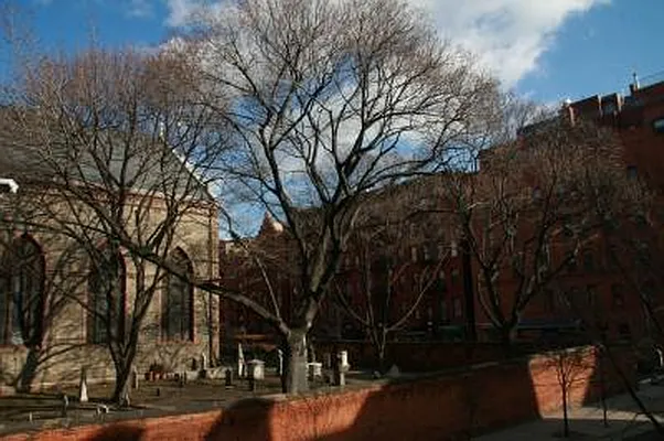 Rented by Town Residential | media 16