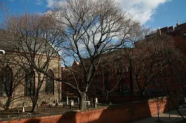 Rented by Town Residential