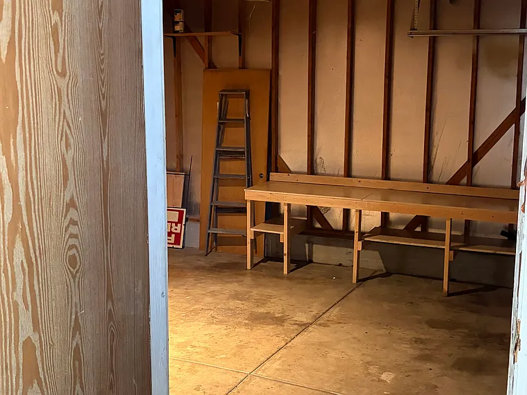 View from House into Garage