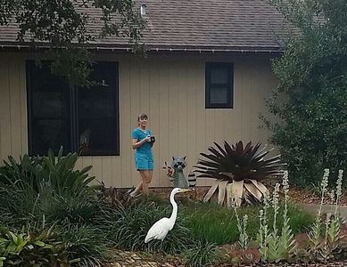 3639 NE 17th Ave, Oakland Park, FL, 33334