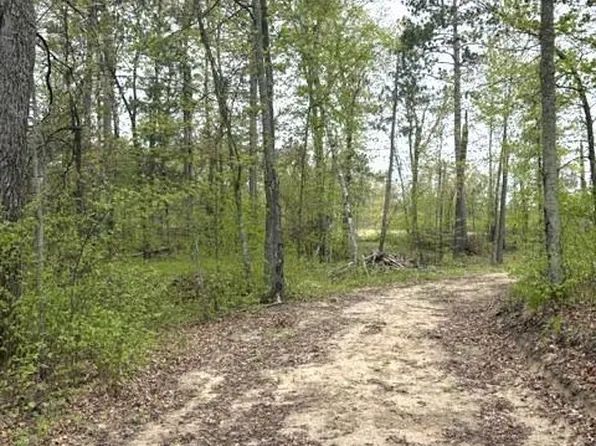 22132 Buckhorn Trl, Merrifield, MN 56465