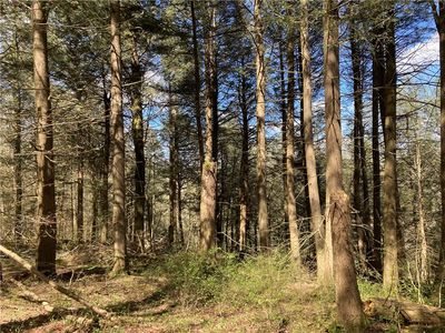 0 E Boulder Mountain Rd #23, Andes, NY, 13731