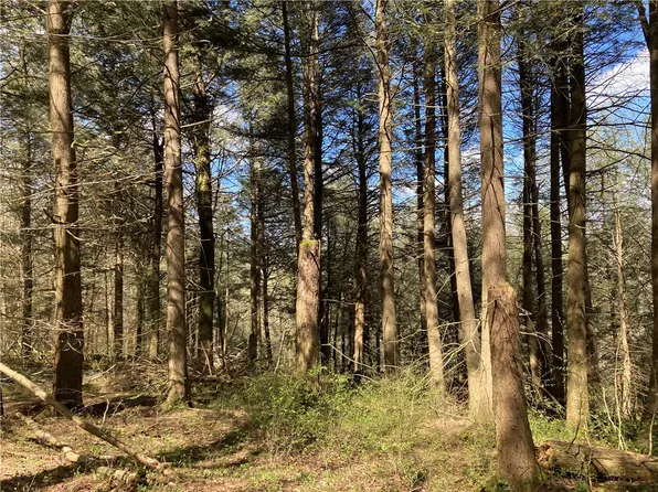 0 E Boulder Mountain Rd #23, Andes, NY 13731