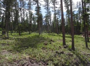 TRACT 2 S Placid Lake Rd, Seeley Lake, MT 59868