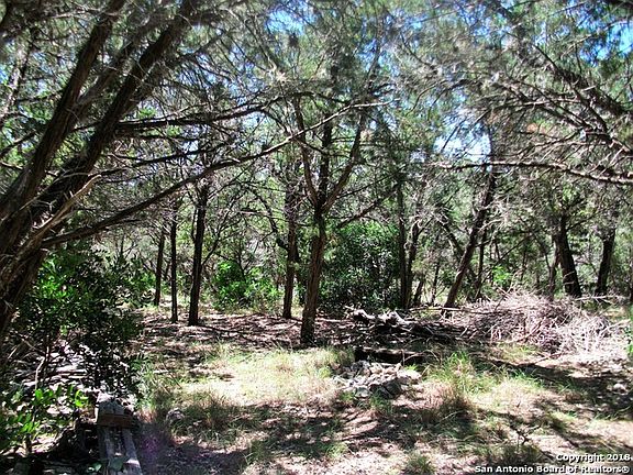 4th image of 1406 Canyon Lake Dr