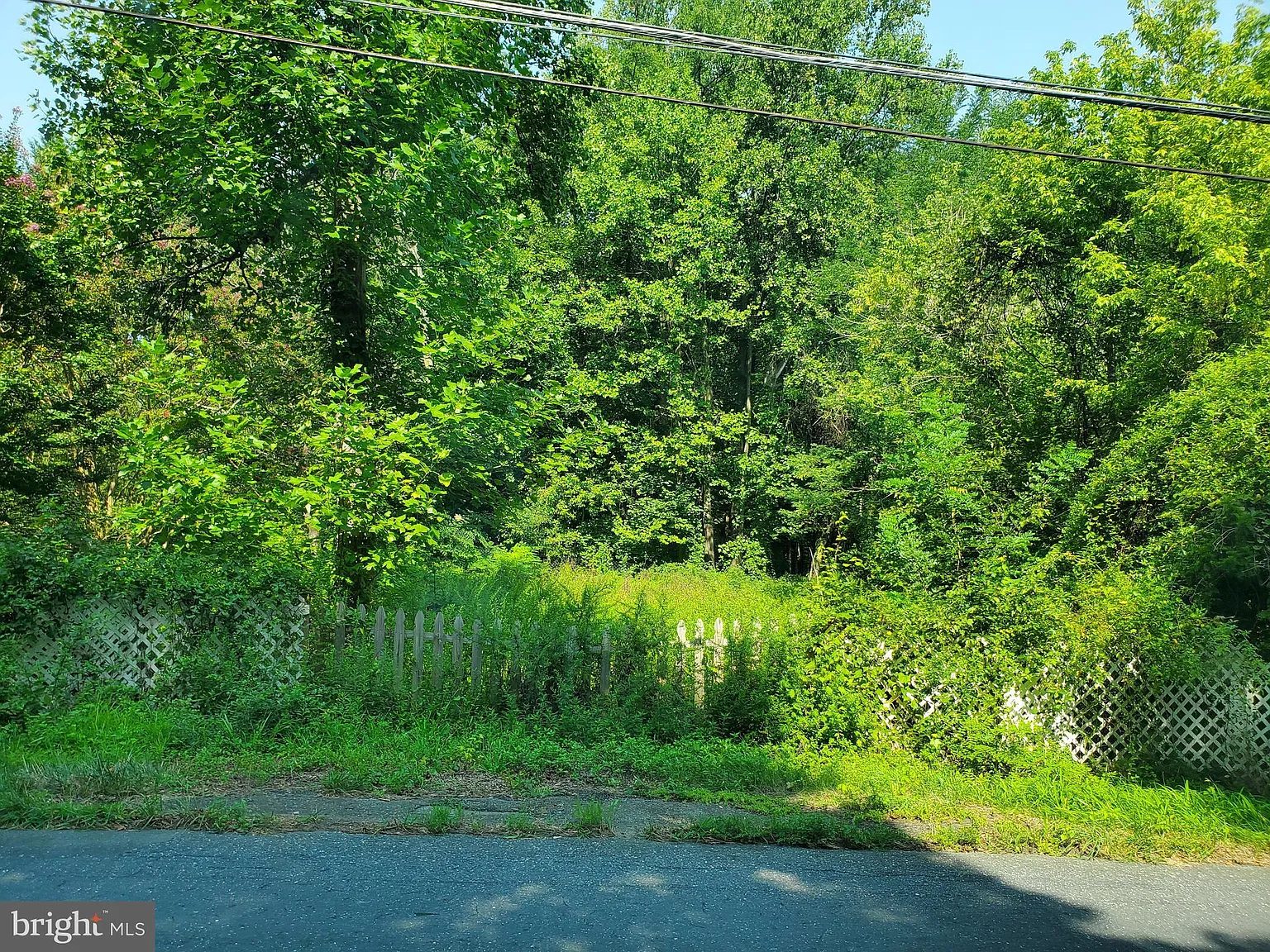 918 Carsins Run Rd photo 1