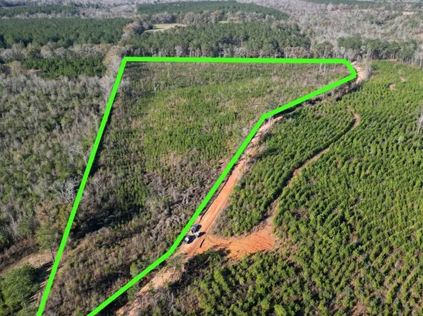 0 County Road 3340, Brundidge, AL 36010