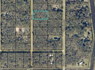 10310 Ruth Ave, Hastings, FL 32145