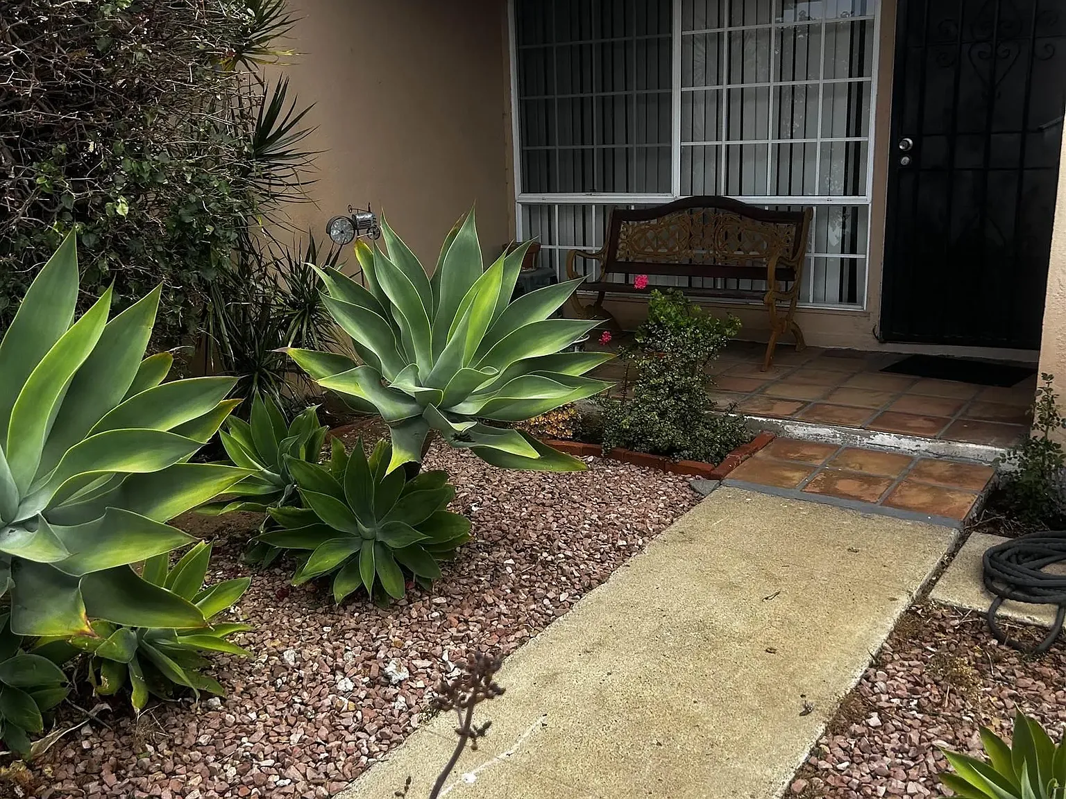 2 bed, 1.0 bath, 800 sqft, $3,200 — Photo 3