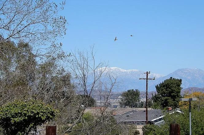 16761 E Buena Vista Ave #A — Photo 14