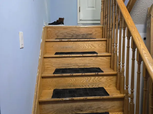 7 Mulock Ave #Basement, Toronto, ON M6N 3C3