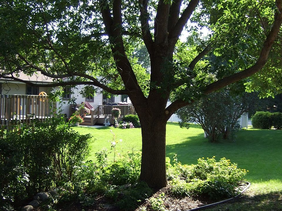 Backyard Garden