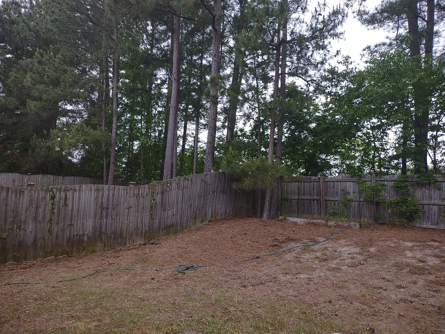New Flooring!! Super Four Bedroom Home In Northeast Columbia! — Photo 2