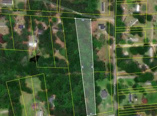 0 Riley Wright Rd, Johns Island, SC 29455