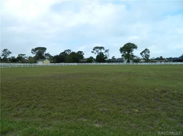 1308 N Spend A Buck Dr, Hernando, FL 34442