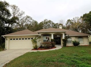 1416 Julie Lagoon, Lutz, FL 33549