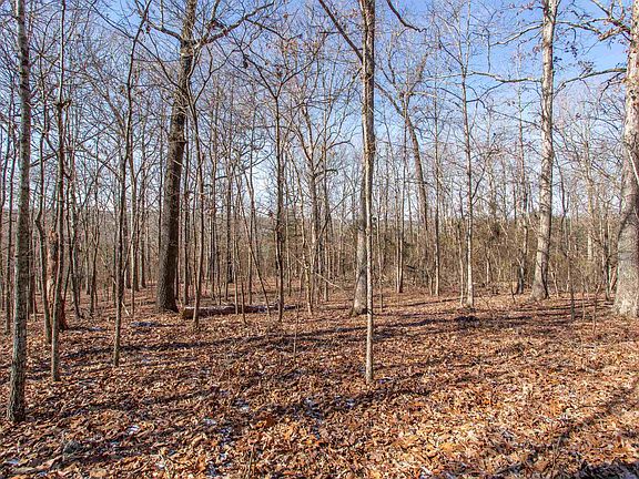 4th image of LOT 64 Big Buck Ln