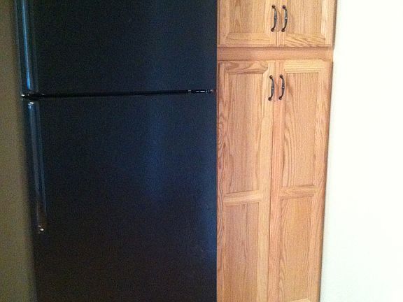 Pantry Cabinet and Fridge