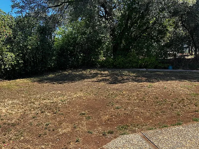 12240 New Airport Rd — Photo 36