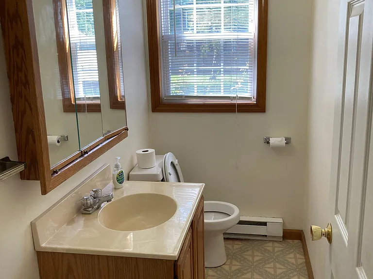 Downstairs half bathroom