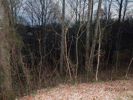 5th image of Hilltop Cir
