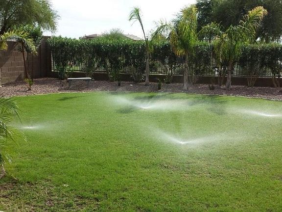 back with summer or planted winter grass; winter grass optional