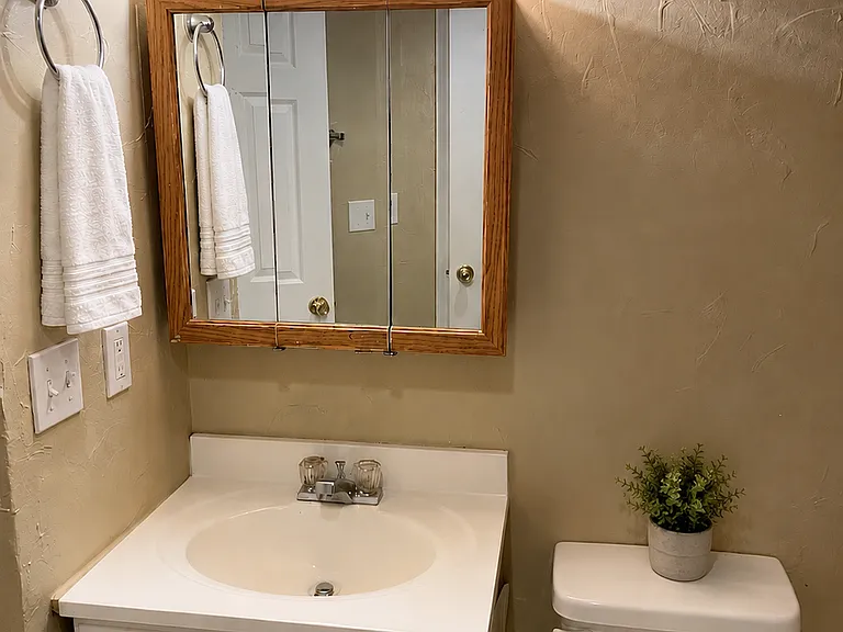 2724 Pampas Dr — Photo 12