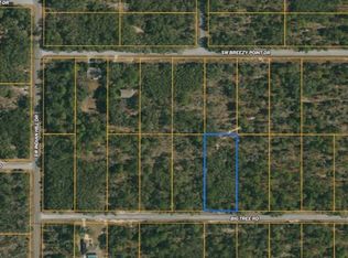 SW Big Tree Rd #37, Dunnellon, FL 34431