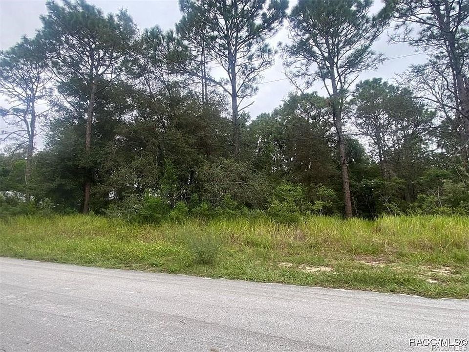 2nd image of 2315 W Dolphin Dr