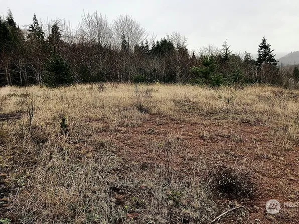 5 Weatherwax Ln, Aberdeen, WA 98520