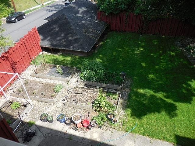 Yard - Garden boxes
