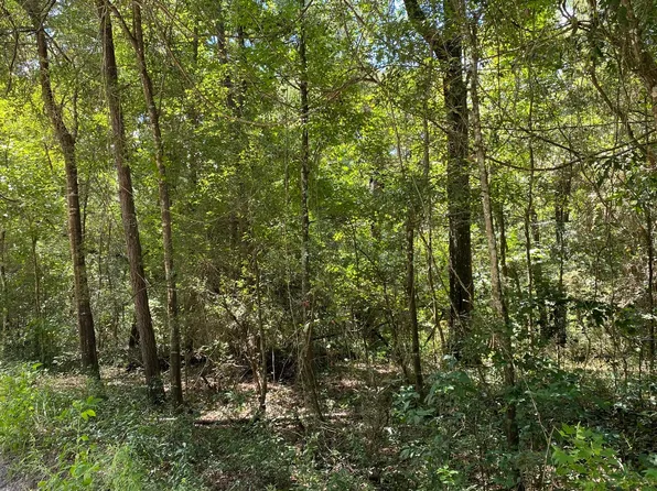 39 SW 76th Dr, Jennings, FL 32053