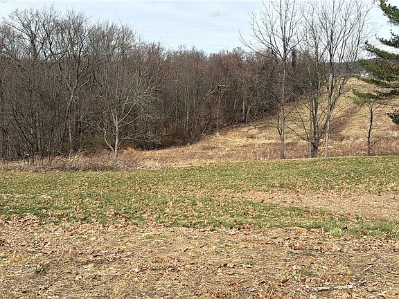 2nd image of 410 Elderberry Ln