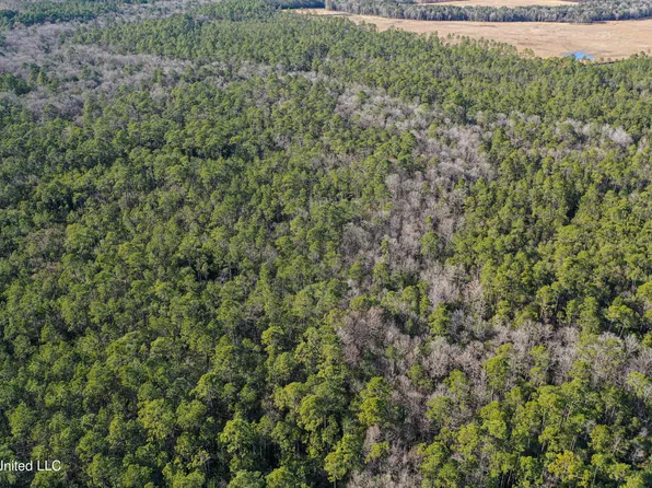 0 Gavin Hamilton Rd, Moss Pt, MS 39562