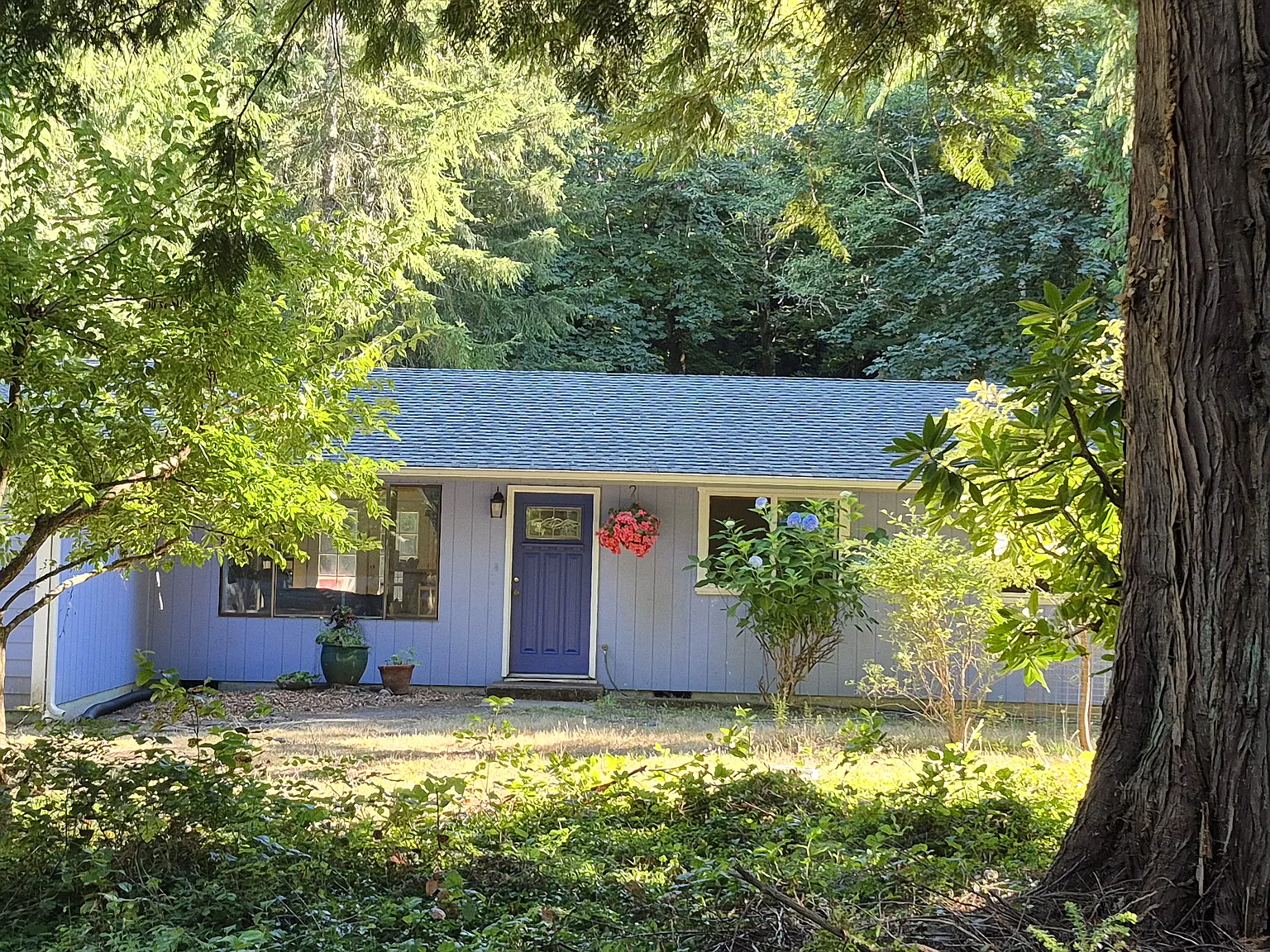 Rainwood Dr NW, Olympia — Photo 4