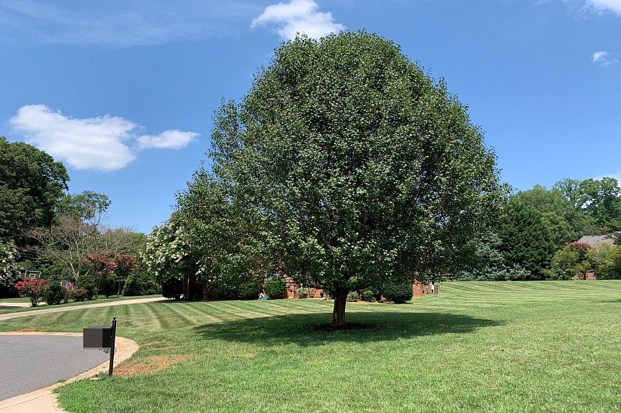 2nd image of 10335 Spring Meadow Dr