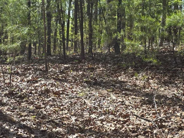 1354 Hunter Dr, Ranger, GA 30734