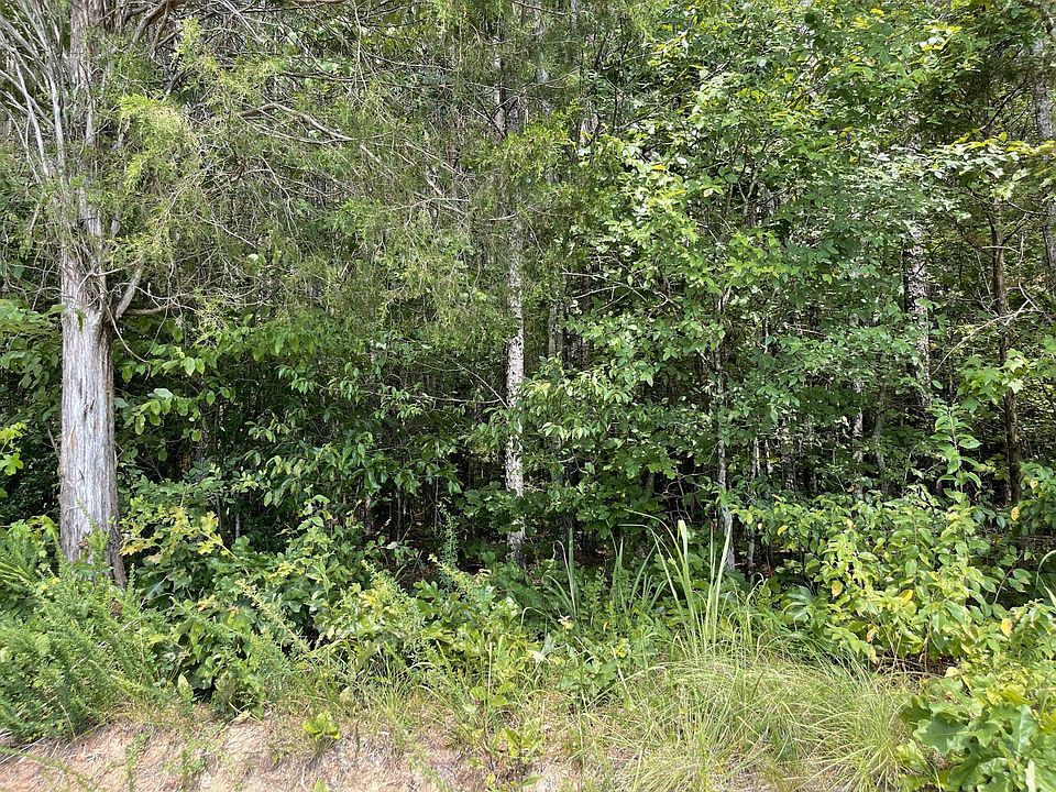 2nd image of 501 County Road 285