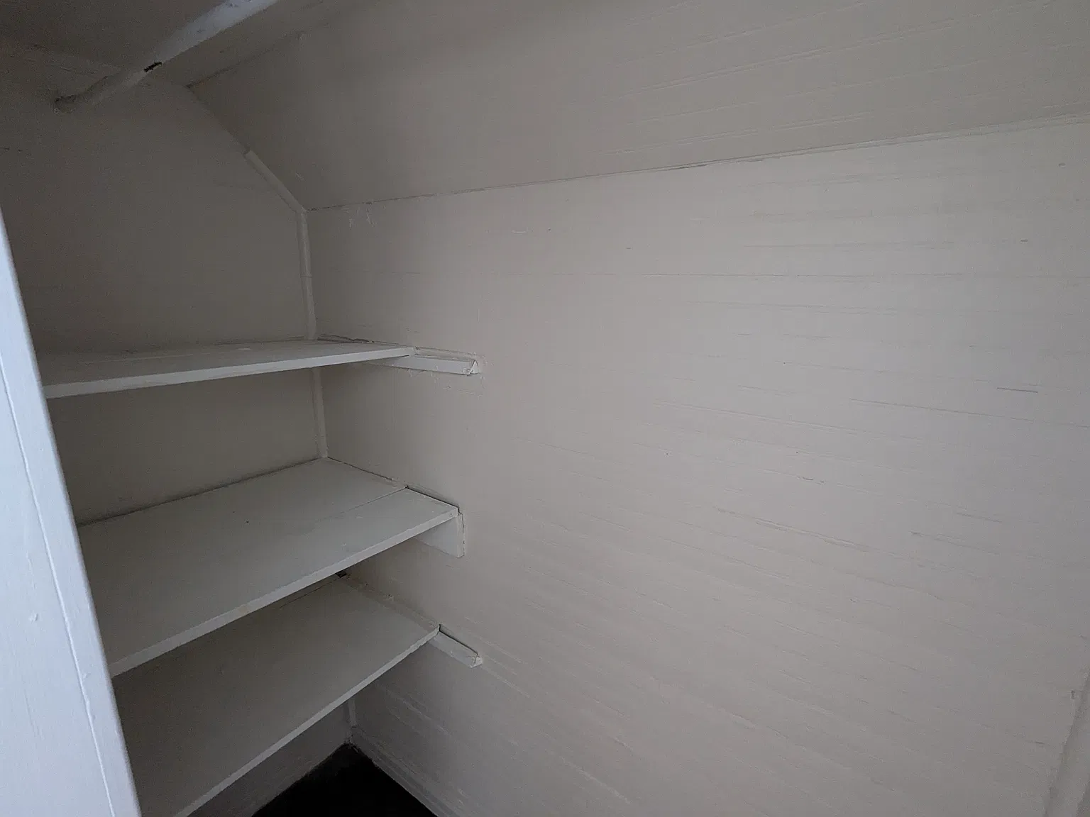 510 Carolina — Photo 3