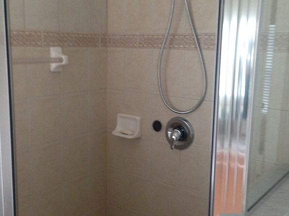 Master bath shower