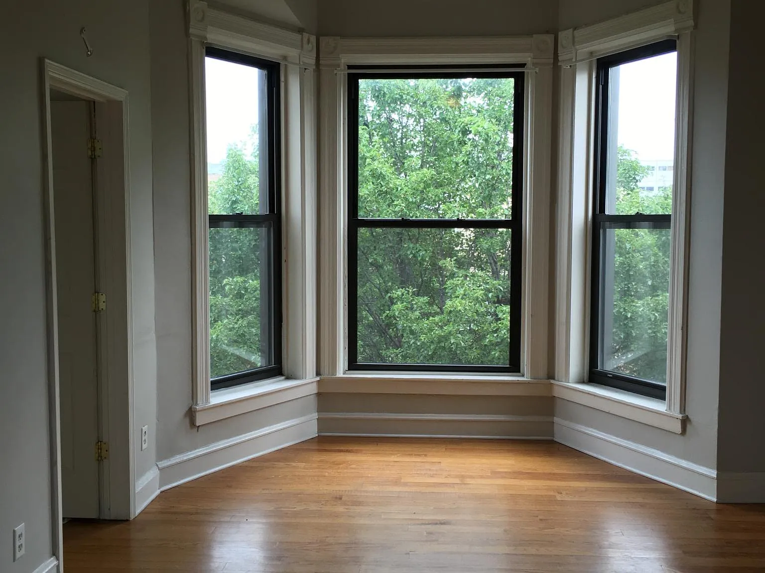 1038 S Oakley Blvd APT 2, Chicago, IL 60612 | Zillow