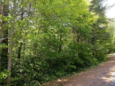 29 Shelton Springs Dr, Hayesville, NC, 28904