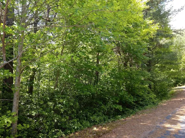 30 Shelton Springs Dr, Hayesville, NC 28904