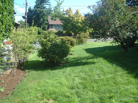 Summer - Side Yard